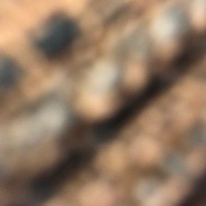 Meet your Posher, Alexa